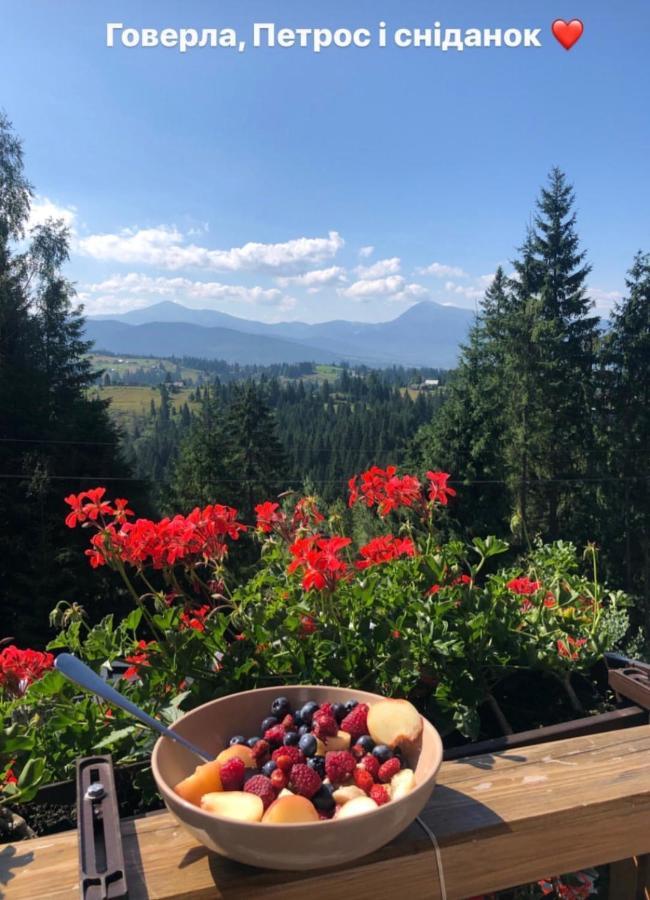 Chalet Gogodz Yablunytsya